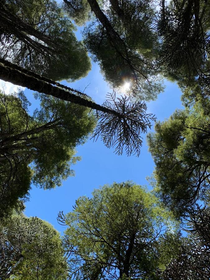 Domo Conguillio Conecta Con Tu Energia Sagrada Junto Al Salto Truful Truful Con Una Vista Majestuosa Que Podras Disfrutar En Una Tinaja Una Experiencia Que Alineara Tu Espiritu Y Tu Energia Interior Vivelo Меліпеуко Екстер'єр фото